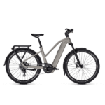 Kalkhoff Entice 5+ Move