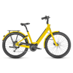 Moustache Lundi 27-3 curry brillant