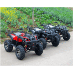 Quad Electrique Adulte ATZ