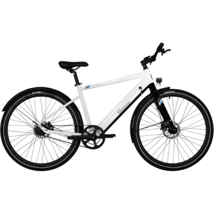 SachsenRAD E-Bike C3T