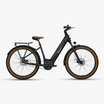 SachsenRAD E-SUV CityBike