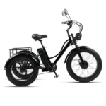Tricycle Électrique GCLCPAEN 24”