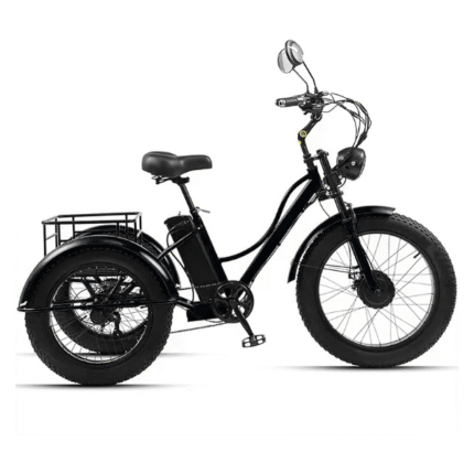Tricycle Électrique GCLCPAEN 24”