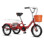 Tricycle électrique Zijingy