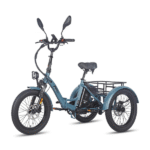 Tricycle Fat SmartAI