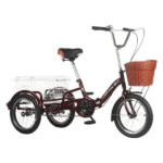 Zijingy Tricycle