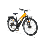 Vélo Cyrusher Asuka