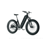 Vélo à assistance électrique Cyrusher Aura