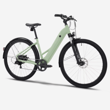RockRider E-ACTV 100